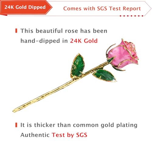 AliveRose Gold Plated Rose Made from Real Rose - Unique Design 24K Dipped Rose for Anniversary Valentines Mothers Day Birthday Gifts for Wife (Pink Original with Crystal Vase) - color: 5. Pink Original Rose With Crystal Vase
