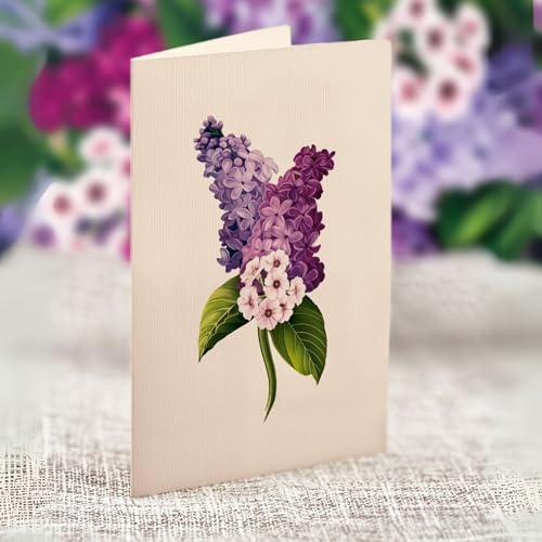 Freshcut Paper Pop Up Cards, Grande Garden Lilacs, 18 Inch Life Sized Forever Flower Bouquet 3D Popup Greeting Card, Birthday Cards, Thank You Card, Blank Notecard & Envelope - color: Garden Lilacs, size: Grande