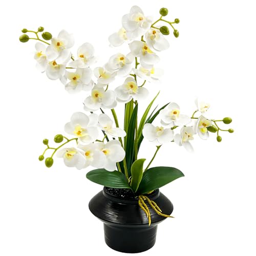 Daily Treasures 24 Heads Artificial Orchid Plant with Black Ceramic Pot, 3D Printed Silk White Faux Orchid Flowers with Buds, Lifelike Butterfly Orchid with Leaves for Modern Home Office Decor