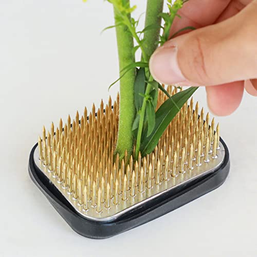 Wazakura Japanese Ikebana Kenzan Flower Holder Rectangular Square, Made in Japan Floral Arranging Pin Frog Tool - 2.6" (68mm) - color: 2.6" (68mm)
