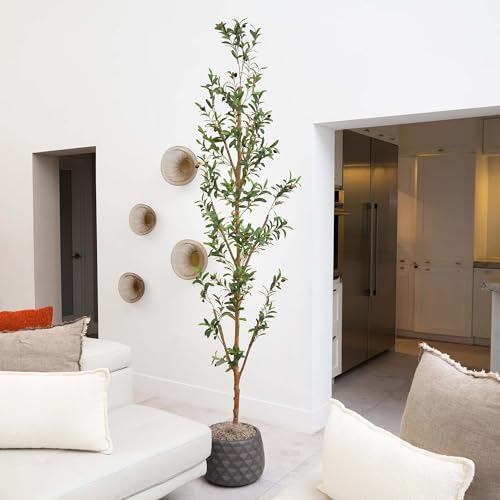 Potted Olive Artificial Tree - 8' - Green - size: 8ft