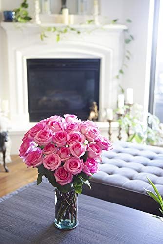 25 Pink Roses | Arabella Bouquets | Real Fresh Flowers for Delivery, Gift for Birthday Women, Congratulations, Anniversary, Thank You, Mother's Day - color: Pink, size: 25 Stems