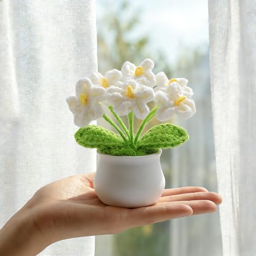 LAIDANLA Crochet Flowers Forget Me Not, White Crochet Flower Potted Plant for Desk, Handmade Anniversary Graduation Birthday Small Gifts for Women Friend Teacher Mom Coworker - color: White