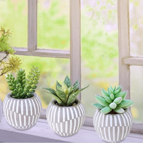 Winlyn Set of 3 Artificial Succulents Plants in Mini Gray and White Geometric Cement Pots Faux Potted Plants Aloe Pachyphytum Succulent Donkey Tail Small Plant for Home Office Table Shelf - color: Gray Pots
