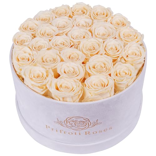 Prifroti 27 Flowers in a Luxury Suede Box, Birthday Gifts for Women, Preserved Flowers, Mothers Day Roses Gift for Mom, Champagne - color: Champagne, size: 27 Roses