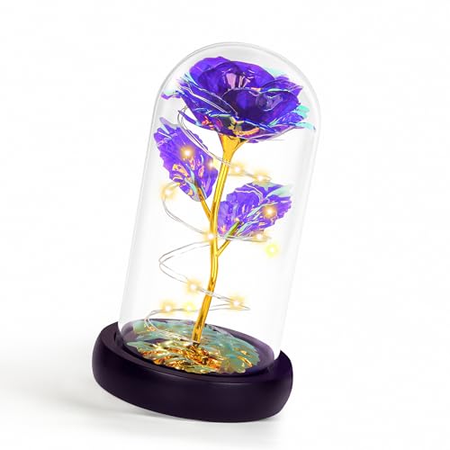 Childom Mothers Day Flowers Gifts for Mom Grandma,Birthday Gifts for Women,Valentines Gifts for Her,Mom,Women,Wife,Grandma,Light Up Rose in Glass Dome,Colorful Purple Mothers Day Flowers for Delivery - color: Purple Medium