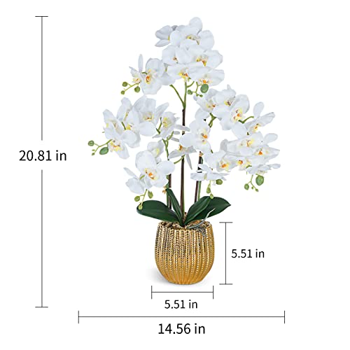 Ziwon Artificial Orchid Flowers & Plants Potted in Ceramic Pot, White Faux Phalaenopsis Orchids for Table Centerpiece, Realistic Fake Flower Arrangement for Home Office Decor Indoor - color: White & Gold 04