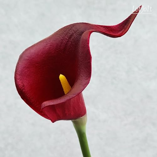 Letjolt Artificial Calla Lily Flowers Dark Red Flowers 20Pcs | Wedding Bouquet, Home Decoration, Faux - color: Dark Red