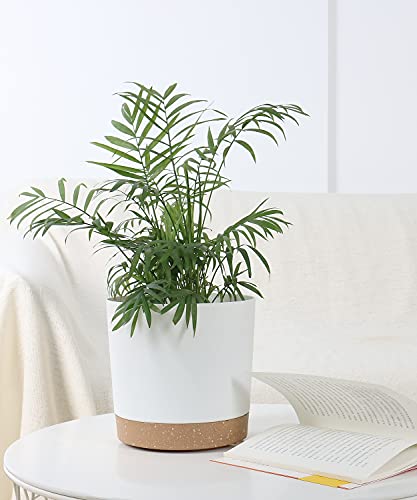 kubvici 2 Pack 8 Inch Planters for Indoor Plants, Plastic Flower Pots Plant Pots Indoor with Drainage Saucer for Outdoor Garden Home Plant, White 8” - color: White, size: 8 inch