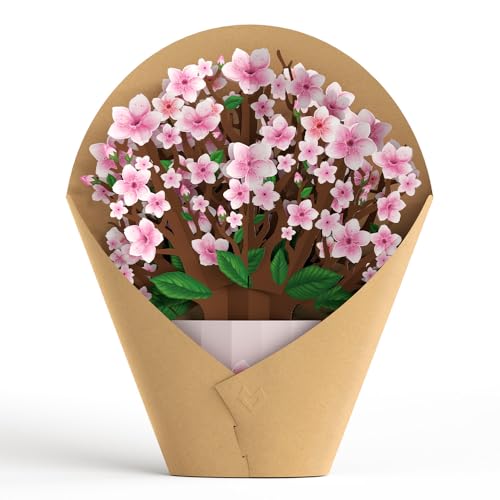 Lovepop Everyday Pop-Up Card for Her and Him - 3D Pop-Up Bouquet Greeting Cards for Men, Women - Cherry Blossom - 12" x 8.5" Floral Bouquet - Blank Note Card Included - color: Cherry Blossom Bouquet