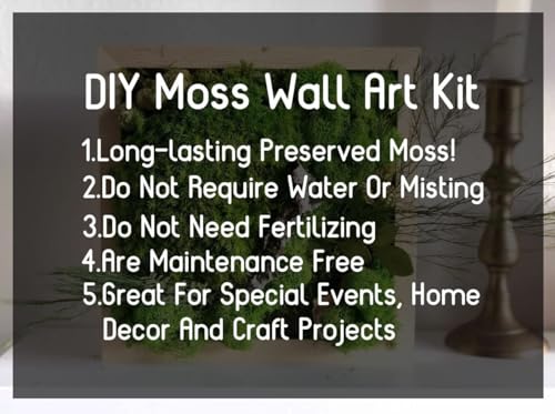 Preserved Reindeer Moss Natural Green DIY Kit Gardenning Art Wall Decor Florist Decor Easter Table Decor Wedding - color: Color Mix-Green-(01+02+03+04+11), size: 1 lb