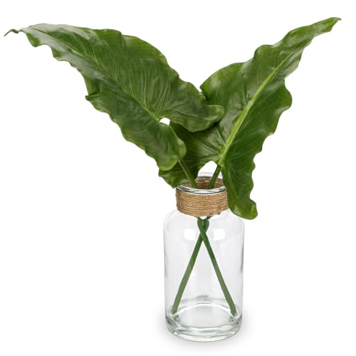 GnFlus Faux Greenery Stems in Glass Vase with Faux Water, Silk Alocasia Realistic Fake Plants Artificial Tropical Leaves for Home Office Farmhouse Wedding Centerpiece Décor - color: Alocasia #1