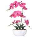 19" H Phalaenopsis Faux Orchid Plant Silk Orchid Centerpiece Artificial Floral Arrangement in Ceramic Pot (Rose Red) - color: Rose Red