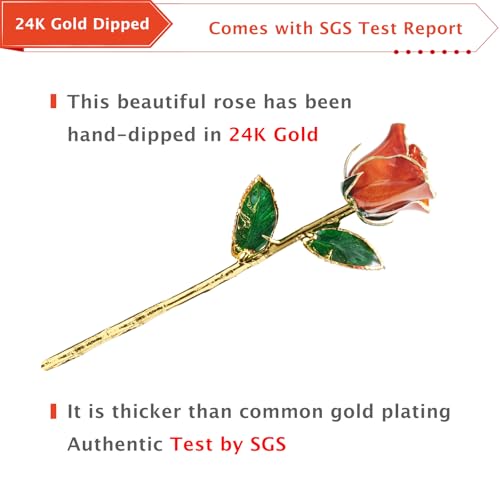 AliveRose Gold Dipped Rose, 24K Gold Rose Made from Real Rose - Unique Design Gold Plated Rose for Anniversary Valentines Mothers Day Birthday Gifts (Orange Original with Crystal Vase) - color: 7. Orange Original Rose With Crystal Vase