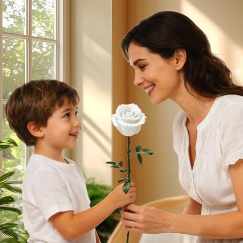 White Single Forever Roses Luxury Gift for Women/Men, Fresh Flowers Bouquet for Girlfriend, Wife, Mom, Anniversary, Valentine's Day, Wedding, Graduation, Christmas, Birthday, Unique Presents for Her - color: White