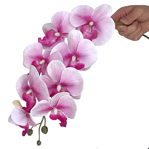 HinyoCo 5 Pcs Artificial Orchid Flowers,Artificial Phalaenopsis Flowers 32 Inch Stem Plants for Home Wedding Decoration (White Flower Purple Core) - color: White Flower Purple Core