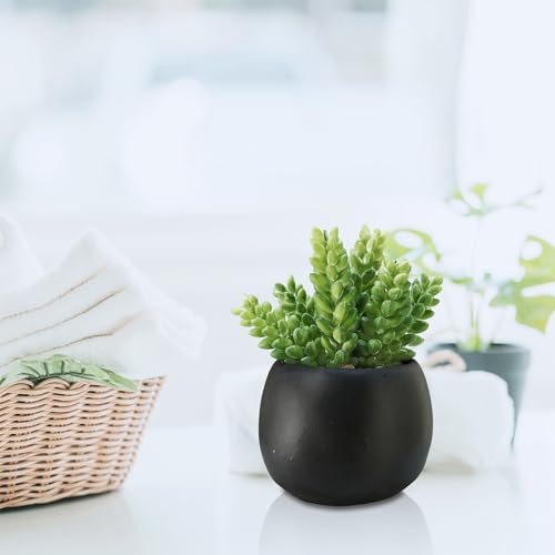 Winlyn Set of 3 Artificial Succulents Plants in Black Cement Planters Faux Potted Plants Aloe String of Pearls Donkey Tail Small House Plants 5" Tall for Table Shelf Home Office Bathroom Living Room - color: Black Cement Pots
