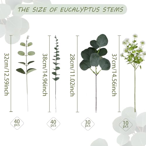 Coreland Artificial Eucalyptus Leaves Stems 120 Pcs 4 Kinds Mixed Fake Silver Dollar Eucalyptus Leaves Stem with Dandelion Bulk Faux Leaf for DIY Bouquets Floral Arrangement Wedding Home Decor - color: Dandelion-120pcs