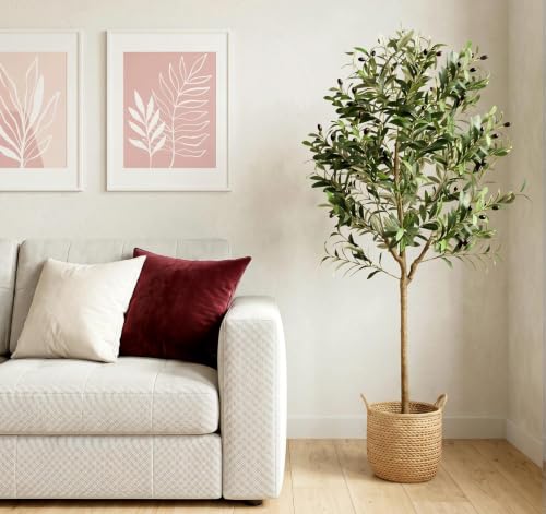 Olive Trees Artificial Indoor, 6FT Faux Olive Tree with Black Planter, Tall Fake Tree with Artificial Moss Natural Trunk Realistic Fruits for Home Office Decor Indoor