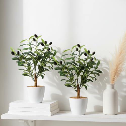 Giegxin 2 Pack 15.8 Inch Small Artificial Olive Tree Indoor 40cm Faux Olive Plant with White Pot for Home Office Room Table Modern Decor - color: White