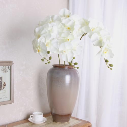 Artificial Phalaenopsis 5 Pcs Artificial Flowers Artificial Orchid Flowers Stem Fake Plants for Décor (White) - color: White