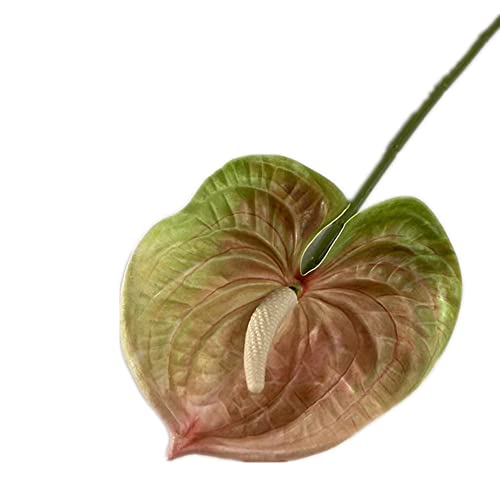 8pcs Artificial Anthurium Flower Branch 60cm 3D Printing Effect Faux Real Touch Single Stem per Piece Anthurium for Home Table Floral Decoration (chamapgne with Ligth Green) - color: Chamapgne With Ligth Green