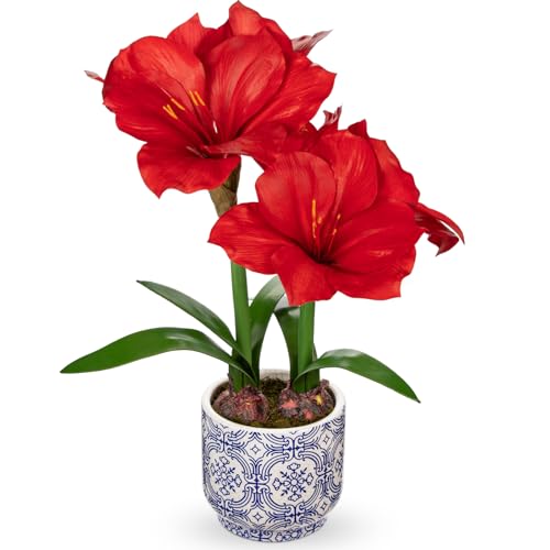 Briful Red Amaryllis Artificial Flowers in Blue Ceramic Pot 18.1" Faux Amaryllis Flower Arrangement with Decorative Bulbs Moss for Home Office Bathroom Table Shelf Décor - color: Red, size: Blue and White Ceramic Pot