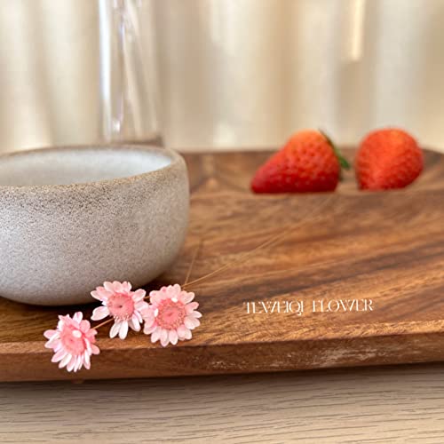 Natural - Dried - Flowers Brazilian Small Star Daisy Dried Decorative Mini Chamomile Bouquet for Wedding Floral Arrangements Home Decorations Valentine's Day Gifts (200 Stems) (Pink) - color: Pink