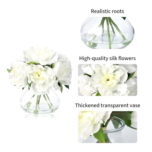 Artificial Peonies with Glass Vase, Faux Peony Silk Flower Arrangement with Faux Water, for Bathroom, Table, Shelf, and Home Decor Centerpiece, Elegant Spring Decor (White) - color: White, size: Peony, PU