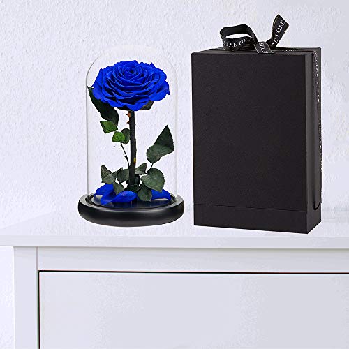 Preserved Roses Handmade Rose in Glass Dome, Preserved Flowers Never Withered Romantic Gifts for Her, Mother's Day, Birthday Gifts for Women (9 inch, Blue) - color: Royal Blue, size: Large