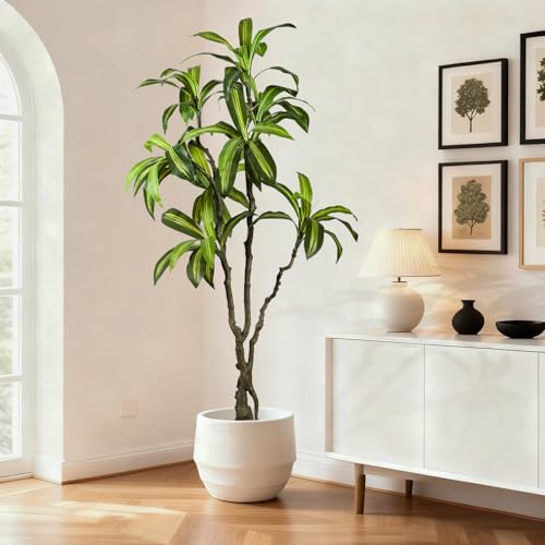Artificial Dracaena Tree 6.5ft(78in) Faux Floor Plant for Indoor Decor Realistic Potted Tree with Texture Lifelike Leaves and Natural Wood Trunk for Home Living Room,Office Perfect Housewarming Gift - color: Dracaena Tree, size: 6ft