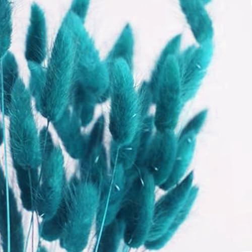 Bunny Tails Dried Flowers 100pcs Dried Pampass Grass Decor Bunny Tail Floral Stems 17 Inch Dried Flowers for Boho Decor Home Wedding Decoration Plants (Teal Blue) - color: Teal Blue