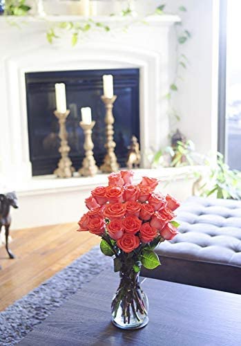 25 Orange Roses | Arabella Bouquets | Real Fresh Flowers for Delivery, Gift for Birthday Women, Congratulations, Anniversary, Thank You, Mother's Day - color: Orange, size: 25 Stems