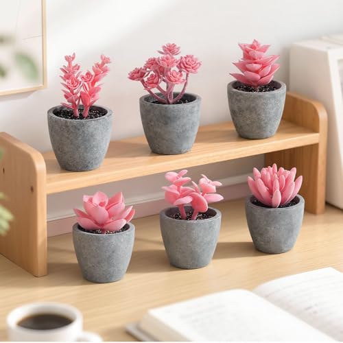 DomeStar Set of 6 Artificial Succulent Plants Potted, Assorted Decorative Pink Faux Succulent Potted Fake Cactus Cacti Plants with Pots - color: Pink