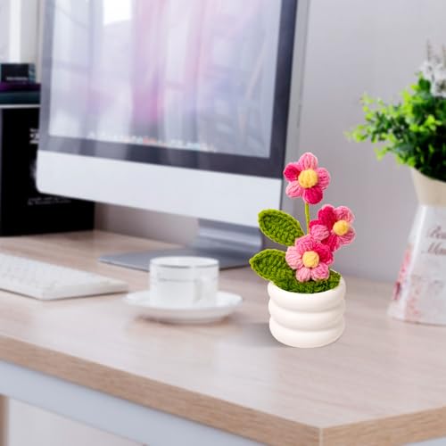 Knitted Flowers Crochet Flower Pot for Desk Car Dashboard Decorations, Mother's Day, Valentine's Day, Birthday Gift for Her, Mom, Women, Girlfriends (Daisy, Pink) - color: Y: Daisy - Pink