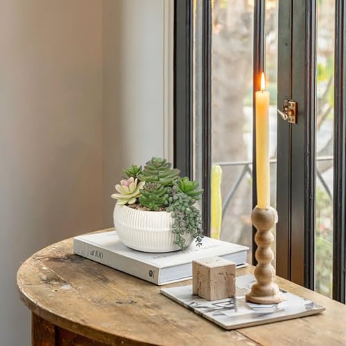 DILATATA Artificial Succulent Plants in Pot 5.5 Inch Fake Succulents Arrangement Potted Plant in White Ceramic Planter Bowl for Home Office Desk Shelf Living Room Bedroom Bathroom Decor - color: White Ceramic#style 4