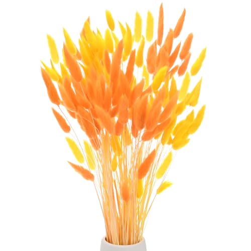 M METERXITY 120-Pack Bunny Tails Grass 17 Inch Fluffy Rabbit Tail Grass Dried Flowers Branches Vase Filler Dried Pampas Grass Decor for Home/Wedding/Vase/Office/Party [Orange, Golden Yellow] - color: Orange, Golden Yellow