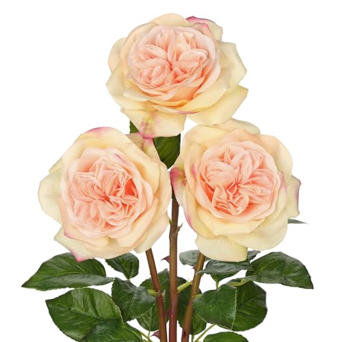 Artificial Roses - Set of 3 Long-Stem Real Touch Silk Roses, 24.4" Faux Flowers for Home Decor, Wedding Bouquets, Centerpieces & Floral Arrangements – Lifelike Peach Fake Roses - color: Peach