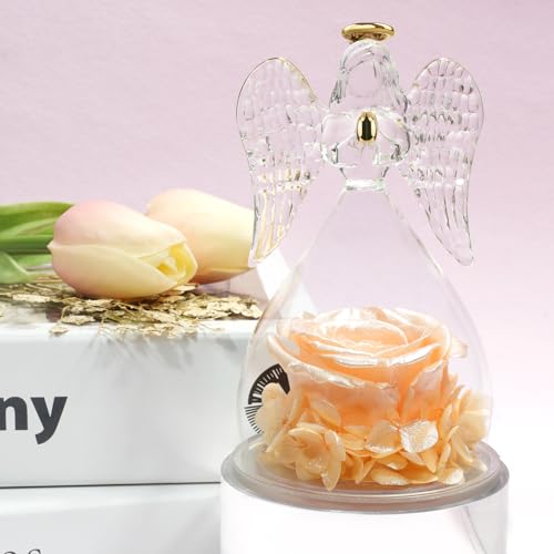 Miofula Gifts for Mom Birthday Gifts for Women, Preserved Flowers Rose in Glass Angel Figurines, Fresh Flowers for Delivery Anniversary Forever Real Roses Gifts for Mothers Grandma Her Wife Girlfriend - color: Pearlescent Champagne