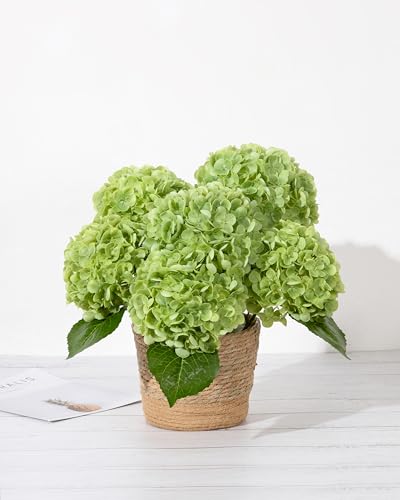 DuHouse 3Pcs Large Hydrangea Artificial Flowers,20 inch Latex Real Touch Hydrangeas Lifelike Hydrangea Flower for Home Wedding Bouquets Centerpieces Party Living Room Decoration(Green) - color: Green, size: 3pcs
