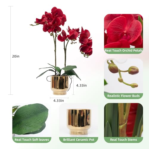 CXGS Orchids Artificial Flowers Real Touch Fake Flowers in Ceramic Pot 20" Red Faux Orchid Plant Lifelike Silk Phalaenopsis for Centerpiece Hotel Home Indoor Decor - color: Red- Gold Vase