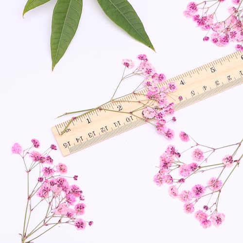 30 Pcs Pink Baby's Breath Real Dried Pressed Flowers.Vacuum-Packed Mini DriedBaby's Breath Flowe Specimen +1 Tweezers, for Resin Art /DIY Making Wedding Card/ Home Party Decor.