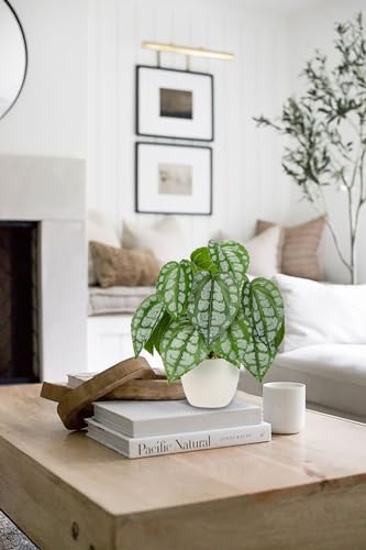 Fake Plants Small Faux Potted Plant 9.8 Inches Fake Piper Sylvaticum with Pot Artificial Plants Indoor for Home Decor Bedroom Aesthetic Bathroom Shelf Living Room Office Kitchen Table Decoration - color: 9.8'' Green