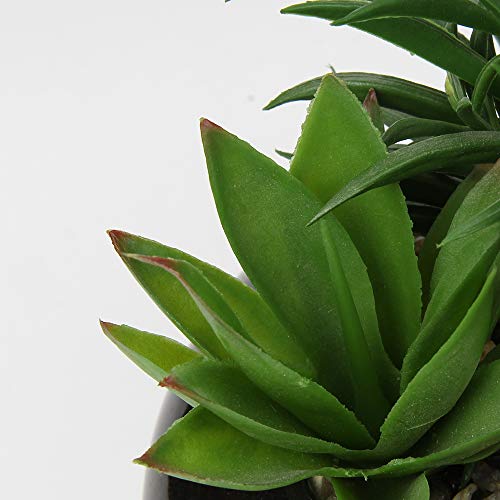 Hollyone Large Artificial Succulents Plants Faux Succulents in Pots Fake Succulent Potted Plants with Black Ceramic Pot for Home Decor Office Desk Bathroom Living Room Indoor & Outdoor Decorations - color: 1pack - Black Ceramic
