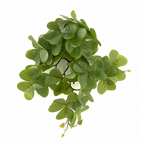 Reptile Plants for Terrarium, Amphibian Habitat Decor Artificial Hanging Plants with Suction Cup - Fake Shamrock - color: Fake Shamrock