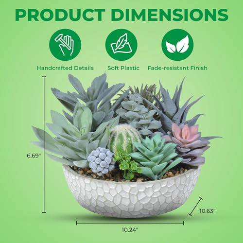 Premium Assorted Artificial Succulent Collection - Large Real Touch Artificial Cactus, Aloe Vera & Succulent Plants Artificial with Pots for Home Office Indoor (Artificial Glass - Pot) - color: Artificial Glass - Pot