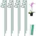FEED GARDEN 36 Inch 12 Pack Plant Support Stakes, Metal Garden Flower Stakes and Supports for Outdoor Plants, Plant Stem Support with 24 Twist Ties for Amaryllis Lily Rose Peony Tomatoes Gladiolus - size: 36 Inch