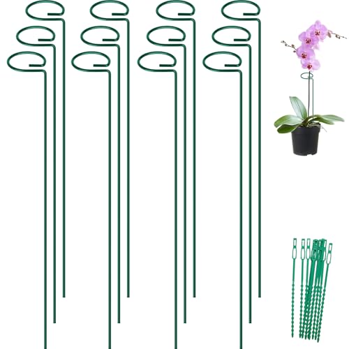 FEED GARDEN 36 Inch 12 Pack Plant Support Stakes, Metal Garden Flower Stakes and Supports for Outdoor Plants, Plant Stem Support with 24 Twist Ties for Amaryllis Lily Rose Peony Tomatoes Gladiolus - size: 36 Inch