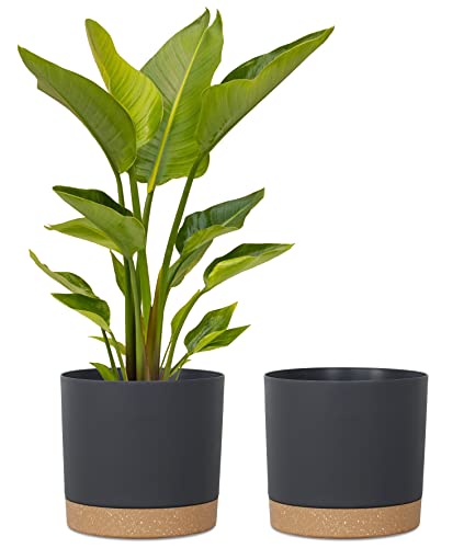 kubvici Plant Pots for Indoor Plants, 2 Pack 12 Inch Pots for Plants, Lightweight Large Planters for Indoor Outdoor, Big Plastic Black Pot Flower Pot with Drainage (12” Black) - color: Black, size: 12 Inch