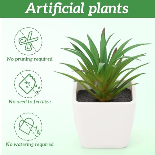Woration 6pcs Realistic Fake Succulents Plants Potted Decoration Small Artificial Succulent Faux Greenery Model Set for Wedding Holiday Shelves Bathroom Indoor Decor - color: 6pcs White